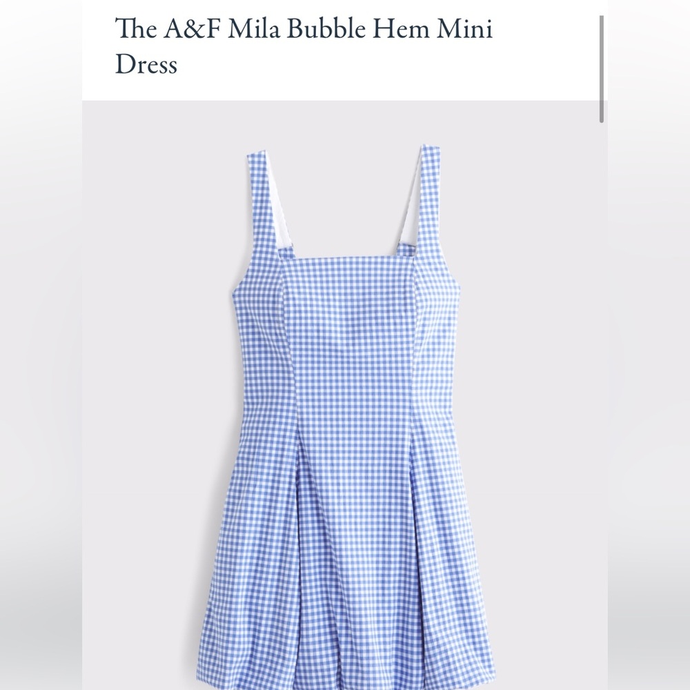 Abercrombie & Fitch Blue Gingham Mini Dress